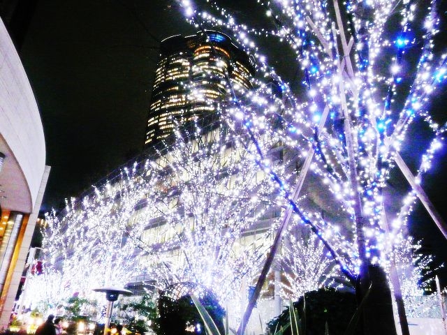 キャバクラで働くなら六本木と歌舞伎町のどちらがお勧め？
